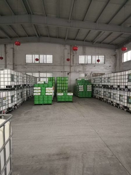 中国 Shenzhen Taiqiang Investment Holding Co., Ltd 会社概要